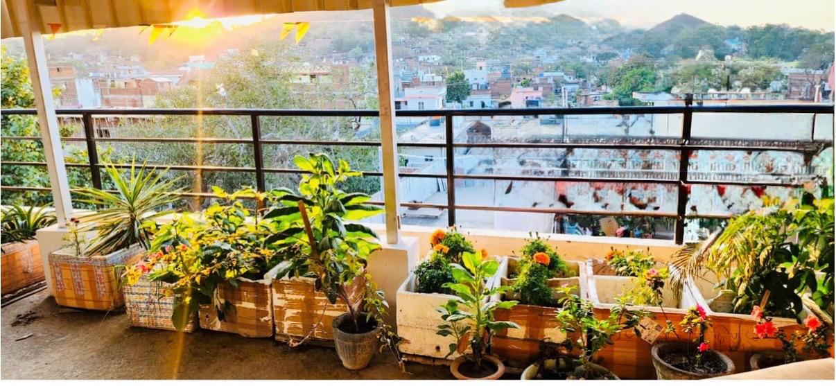 Rooftop Garden